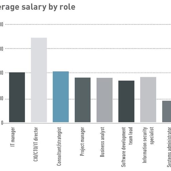 ACN Salary Survey 2014: results in full | Business, Photos ...