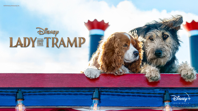 Lady and the Tramp, a Disney original is one of the many new movies that will be available to OSN users. OSN secures exclusive distribution rights to Disney+ Originals across the Middle East