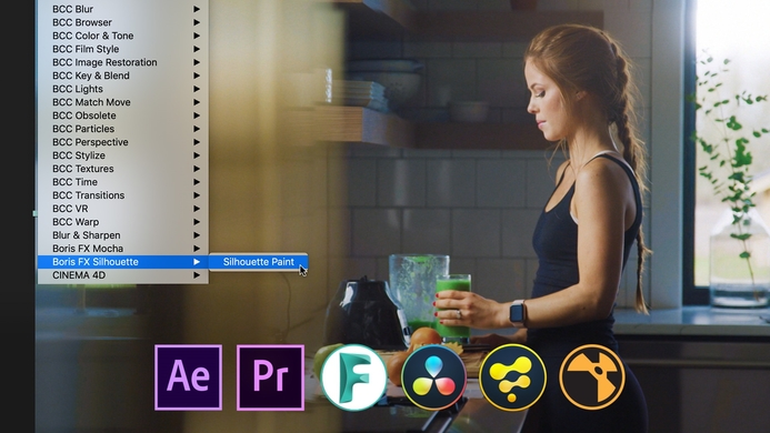 SILHOUETTE PAINT PLUG IN, Boris FX, Professional paint and video touch up Boris FX launches affordable silhouette paint plugin