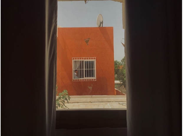 In Pictures Nat Geo Abu Dhabi Moments 2020 Competition Photos Itp Net