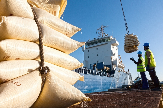 Abu Dhabi Ports has deployed the new terminal management system for Zayed Port and will extend the solution to all of its ports. Abu Dhabi Ports rolls out new terminal operations system