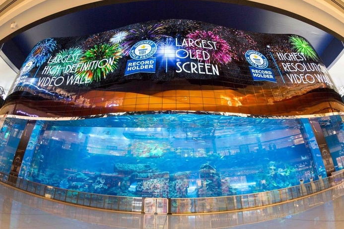 Emaar Entertainment partnered with LG and together they broke three world records. Dubai Aquarium & Underwater Zoo breaks world records with HD video wall