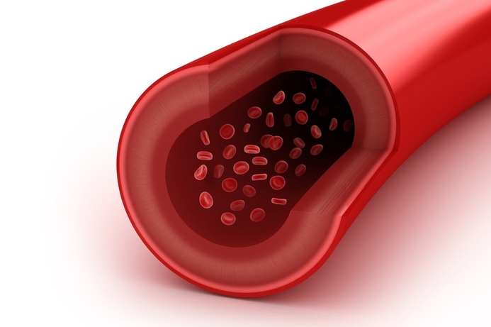 Scientists in Germany have recreated human blood vessels using a 3D printer. Scientists print human blood vessels