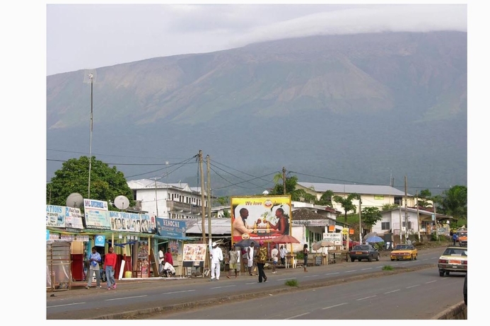 Mobile voice revenues in Cameroon are forecasted to amount to $1.3bn by 2017. Cameroon's voice revenues worth $1.3bn by 2017