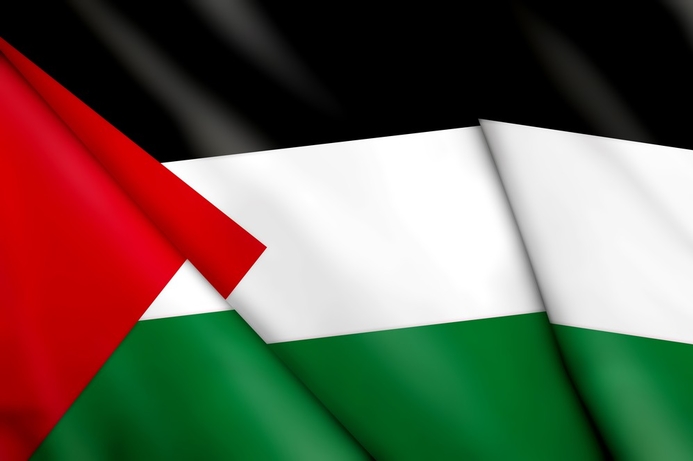 Palestinian companies will benefit from the MPLS service. Palestine boosts international connectivity