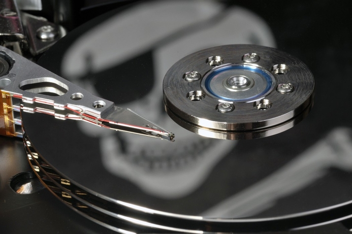 The portal is aimed to help in the fight against software piracy. Arab League and Microsoft in piracy initiative