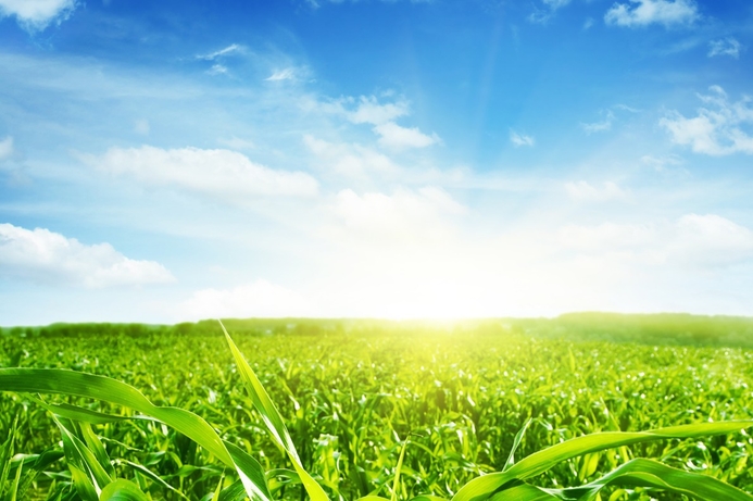 Microsoft has set new targets for its own sustainability. Microsoft announces new commitment to sustainability