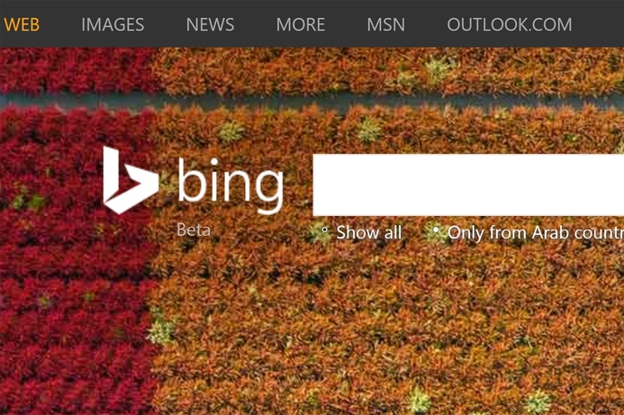 Bing has followed Google in allowing Europeans to ask for pages to be removed from its online results. Microsoft's Bing launches 'right to be forgotten' form