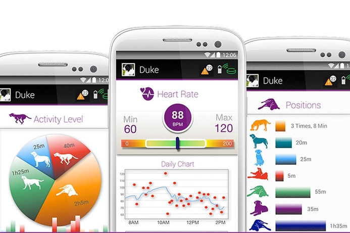 The PetPace app allows owners to access their pet's information in real-time from anywhere using their Android, iPhone or iPad. Smart collar tells owners how pet is feeling