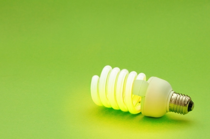 Bass: A green IT initiative would take a commitment from the CEO Cheap, not green, tech preferred by region - expert