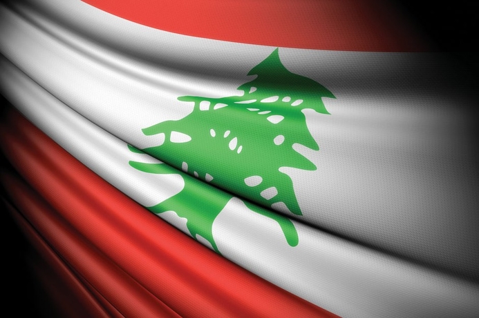 Attempts to install private networks are illegal, says Lebanon's telecomms ministry. Hezbollah telco network courts controversy