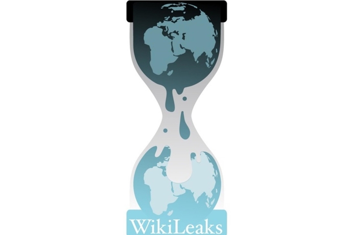 The Wikileaks website has been crashed in an apparent cyber-attack following its release of over 125,000 sensitive government documents. Hackers attack WikiLeaks